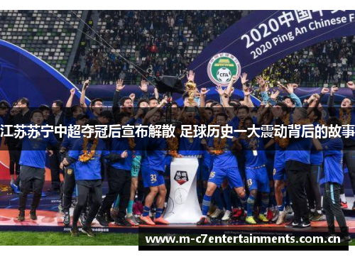 江苏苏宁中超夺冠后宣布解散 足球历史一大震动背后的故事